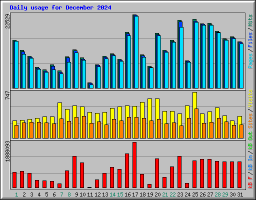 Daily usage for December 2024
