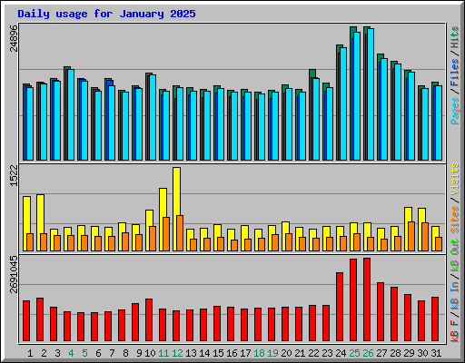 Daily usage for January 2025