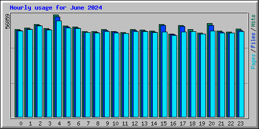 Hourly usage for June 2024