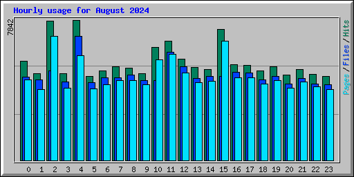 Hourly usage for August 2024