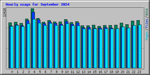 Hourly usage for September 2024