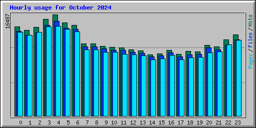 Hourly usage for October 2024