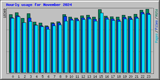 Hourly usage for November 2024