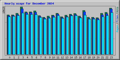 Hourly usage for December 2024