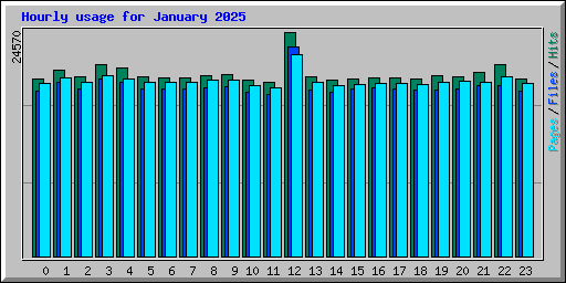 Hourly usage for January 2025