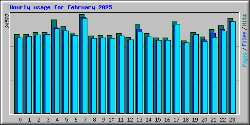 Hourly usage for February 2025