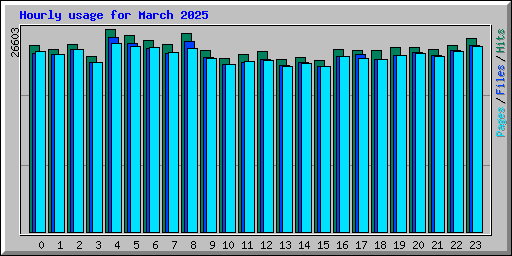 Hourly usage for March 2025
