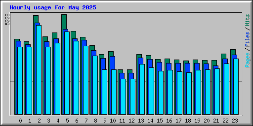Hourly usage for May 2025
