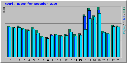 Hourly usage for December 2025