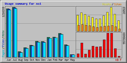 Usage summary for ns1